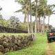 Driving on the inside of Zuckerberg’s lava rock wall.